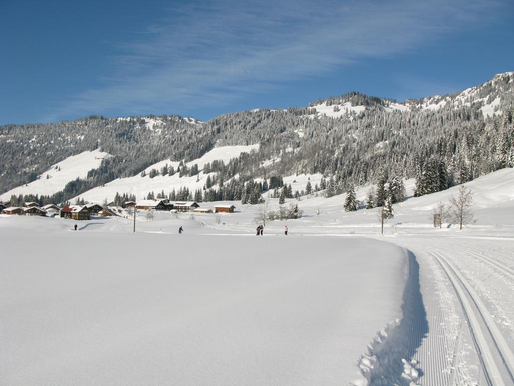 Appartamento Alpenroesle Balderschwang Esterno foto